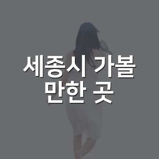 세종시 가볼 만한 곳, 길치도 덜 헤매는 동선으로 고르는 방법 - 요약