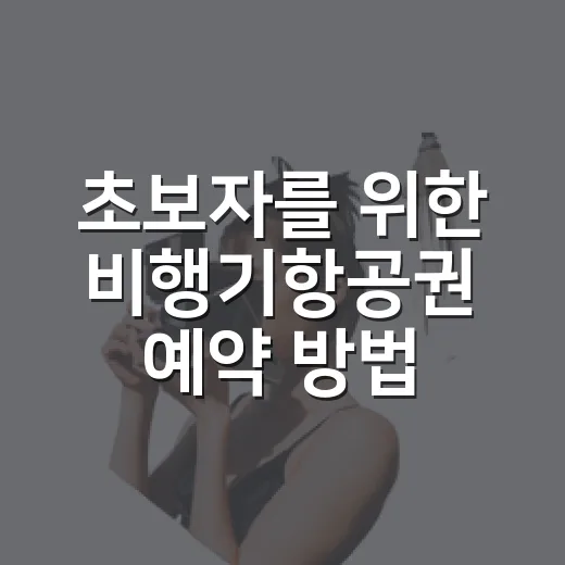 초보자를 위한 비행기항공권 예약 방법, 공항 동선까지 이렇게 잡으면 덜 헤맵니다 - 요약