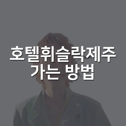 호텔휘슬락제주 가는 방법, 공항부터 동문시장까지 헤매지 않는 동선 - 요약