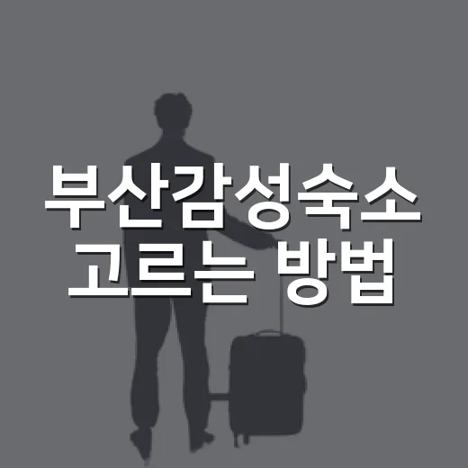 부산감성숙소 고르는 방법, 해운대·광안리·영도 동선별로 잡는 법 - 요약