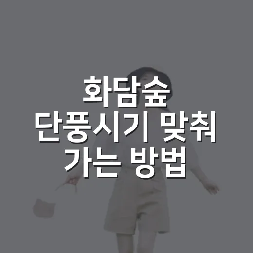 화담숲 단풍시기 맞춰 가는 방법: 예약일과 동선 이렇게 잡기 - 요약