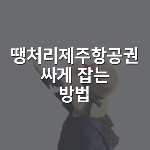 땡처리제주항공권 싸게 잡는 방법, 초보자도 덜 헤매는 이동 동선 - 요약