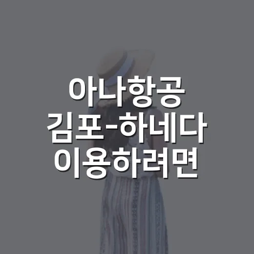 아나항공 김포-하네다 이용하려면 이렇게: 공항 동선과 주변 코스 잡는 방법 - 요약