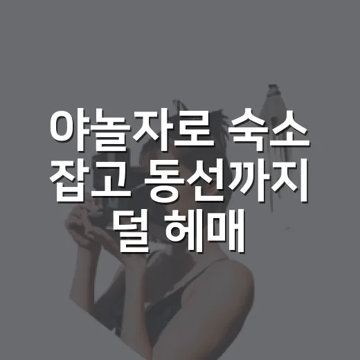 야놀자로 숙소 잡고 동선까지 덜 헤매는 방법 - 요약