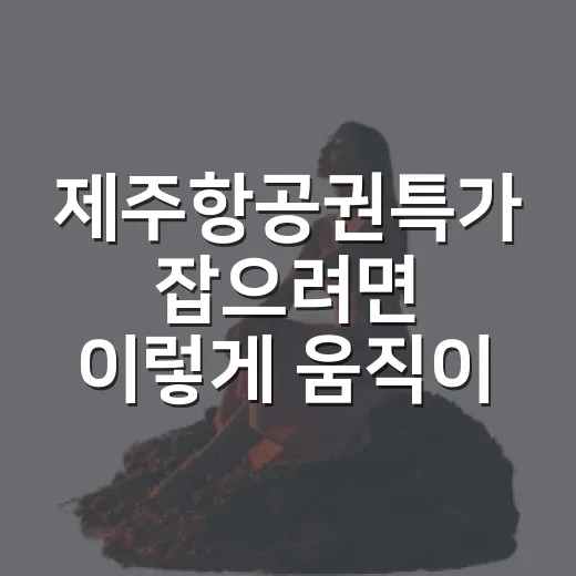 제주항공권특가 잡으려면 이렇게 움직이면 됩니다 - 요약