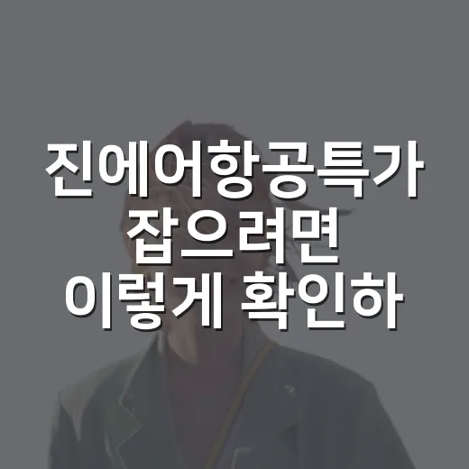 진에어항공특가 잡으려면 이렇게 확인하세요: 공항 동선까지 덜 헤매는 예매 방법 - 요약