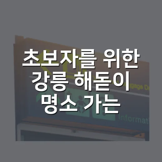 초보자를 위한 강릉 해돋이 명소 가는 방법, 어디서 볼지 이렇게 고르기 - 요약