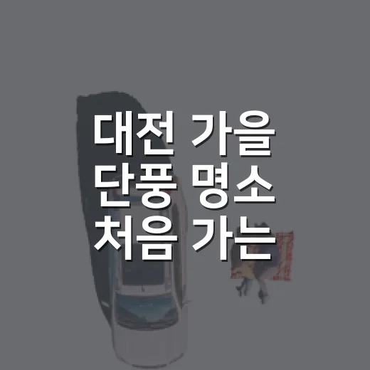 대전 가을 단풍 명소 처음 가는 사람도 덜 헤매는 방법 - 요약