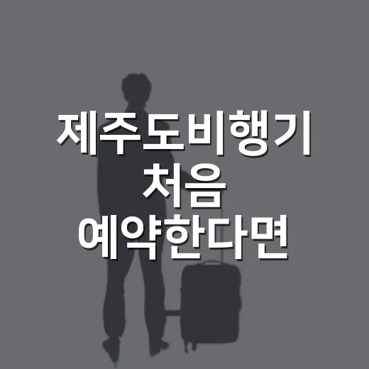 제주도비행기 처음 예약한다면 이렇게 준비하는 방법 - 요약