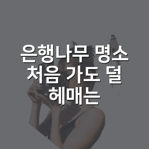 은행나무 명소 처음 가도 덜 헤매는 코스 고르는 방법 - 요약