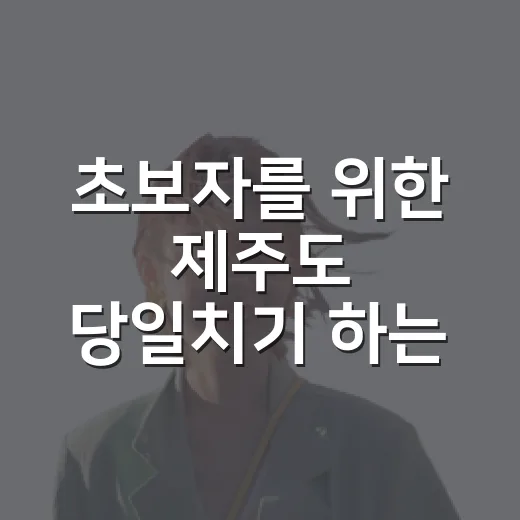 초보자를 위한 제주도 당일치기 하는 방법, 공항 기준으로 이렇게 잡으면 덜 헤맵니다 - 요약