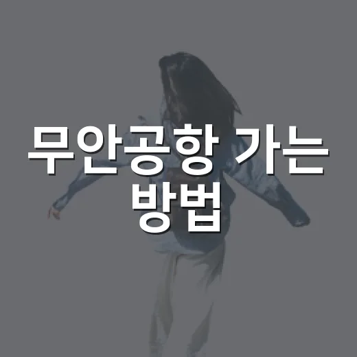 무안공항 가는 방법, 초행길도 덜 헤매려면 이렇게 잡기 - 요약