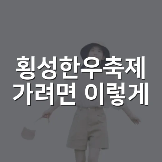 횡성한우축제 가려면 이렇게, 초보자를 위한 동선 잡는 방법 - 요약