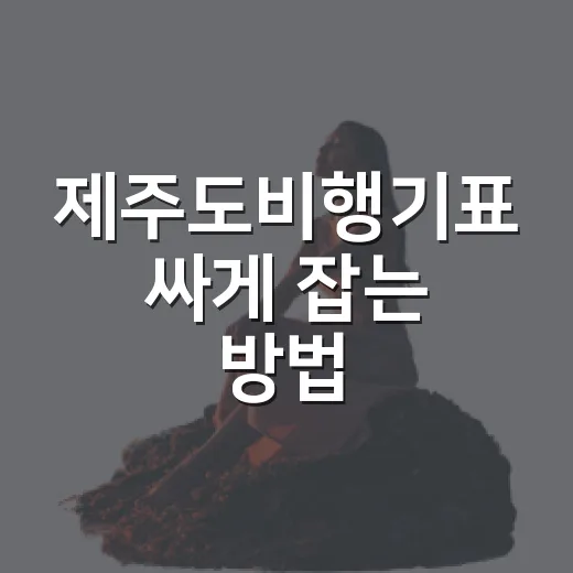 제주도비행기표 싸게 잡는 방법, 공항 이동까지 덜 헤매는 예약 순서 - 요약
