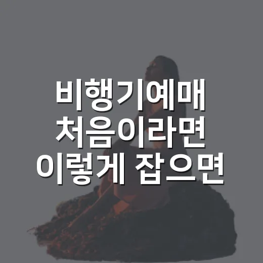 비행기예매 처음이라면 이렇게 잡으면 덜 헤맵니다 - 요약