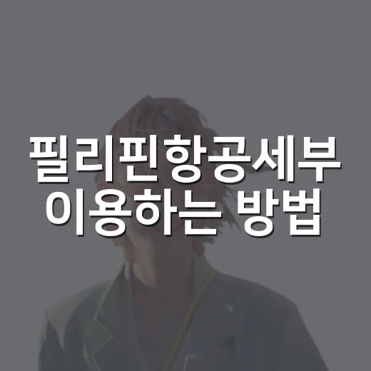 필리핀항공세부 이용하는 방법, 공항 동선과 주변 이동까지 헷갈리지 않게 잡기 - 요약