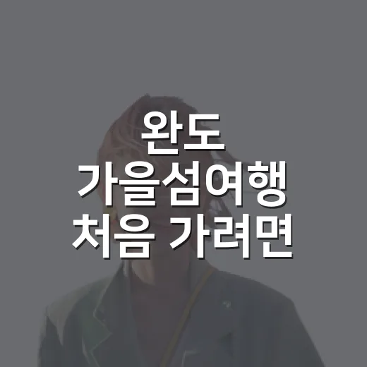 완도 가을섬여행 처음 가려면 이렇게 동선 잡으면 덜 헤맵니다 - 요약