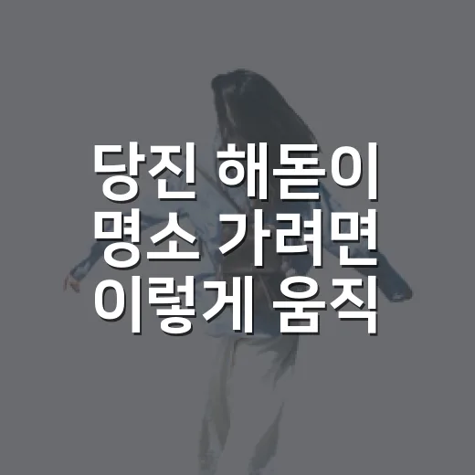 당진 해돋이 명소 가려면 이렇게 움직이면 덜 헤맵니다 - 요약