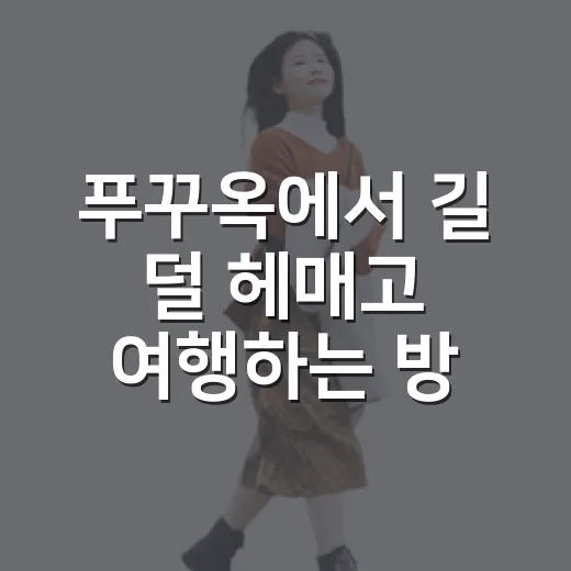 푸꾸옥에서 길 덜 헤매고 여행하는 방법 - 요약