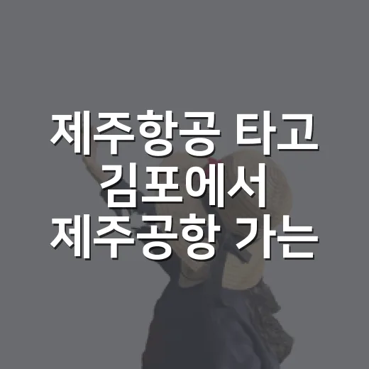제주항공 타고 김포에서 제주공항 가는 방법 - 요약
