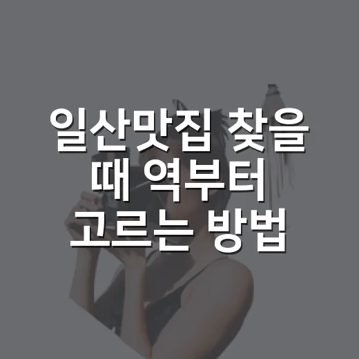 일산맛집 찾을 때 역부터 고르는 방법 - 요약