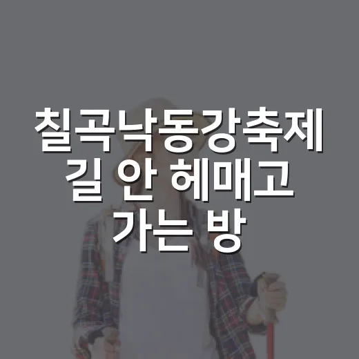칠곡낙동강축제 길 안 헤매고 가는 방법 - 요약