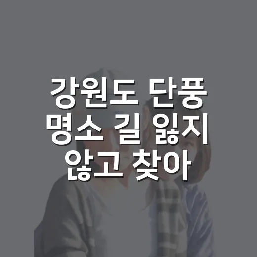 강원도 단풍 명소 길 잃지 않고 찾아가는 방법 - 요약