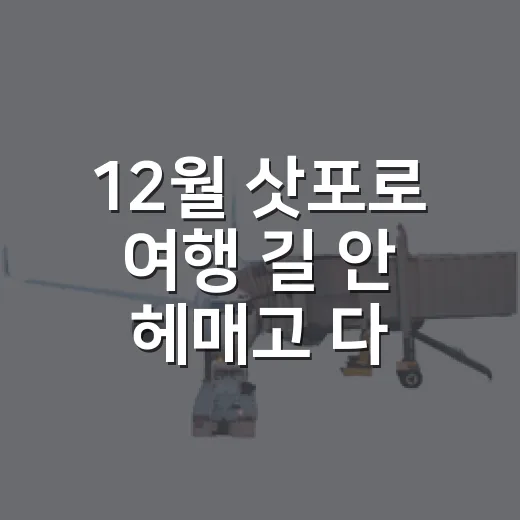 12월 삿포로 여행 길 안 헤매고 다니는 방법 - 요약