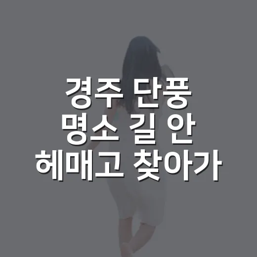 경주 단풍 명소 길 안 헤매고 찾아가는 방법 - 요약