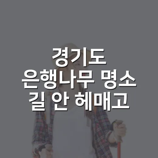 경기도 은행나무 명소 길 안 헤매고 찾아가는 방법 - 요약