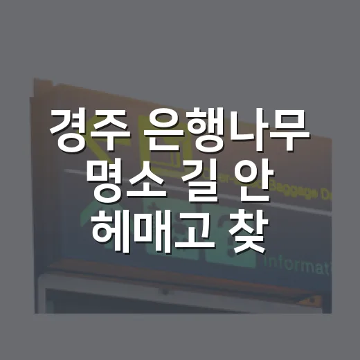 경주 은행나무 명소 길 안 헤매고 찾아가는 방법 - 요약