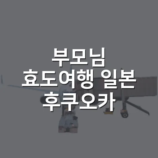 부모님 효도여행 일본 후쿠오카 편하게 다니는 방법 - 요약
