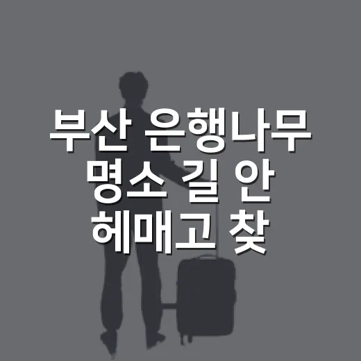 부산 은행나무 명소 길 안 헤매고 찾아가는 방법 - 요약