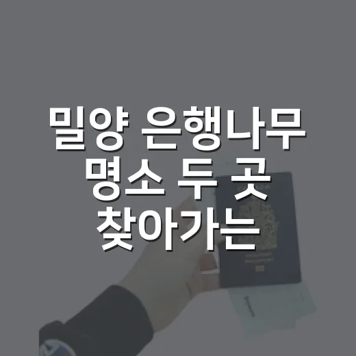 밀양 은행나무 명소 두 곳 찾아가는 방법 - 요약