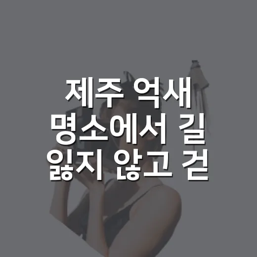제주 억새 명소에서 길 잃지 않고 걷는 방법 - 요약