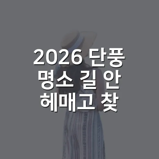 2026 단풍 명소 길 안 헤매고 찾아가는 방법 - 요약