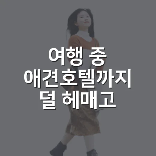여행 중 애견호텔까지 덜 헤매고 가는 방법 - 요약