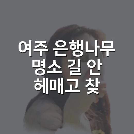 여주 은행나무 명소 길 안 헤매고 찾아가는 방법 - 요약