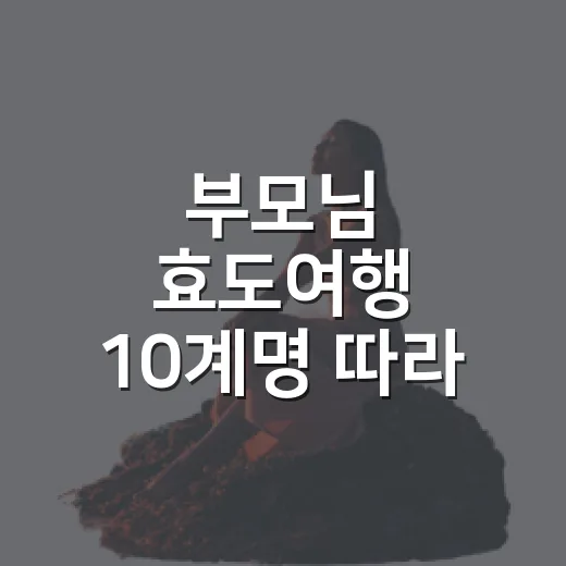 부모님 효도여행 10계명 따라 동선 짜는 방법 - 요약