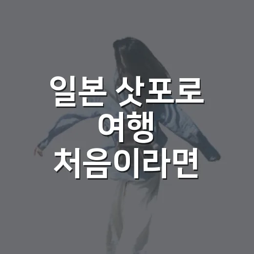 일본 삿포로 여행 처음이라면 동선부터 잡는 방법 - 요약