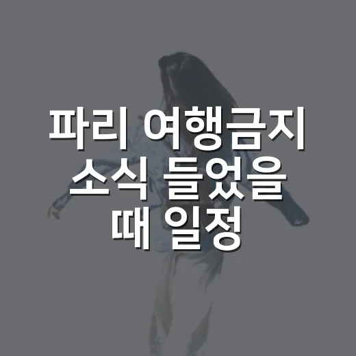 파리 여행금지 소식 들었을 때 일정 확인하는 방법 - 요약