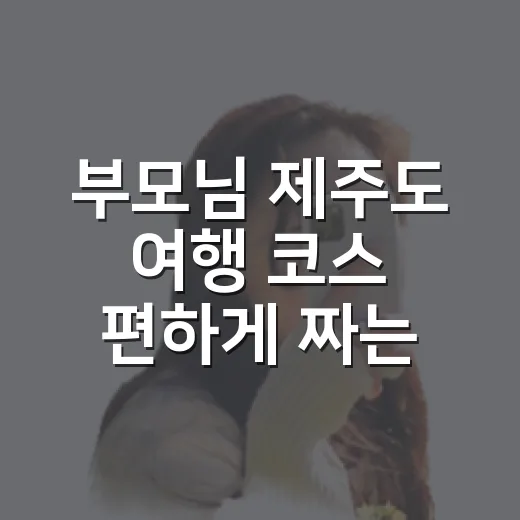 부모님 제주도 여행 코스 편하게 짜는 방법 - 요약
