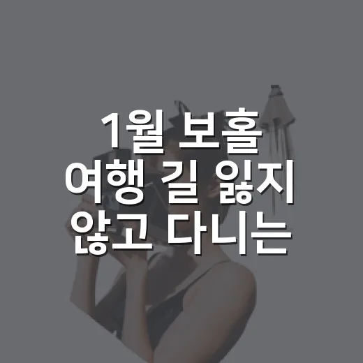 1월 보홀 여행 길 잃지 않고 다니는 방법 - 요약