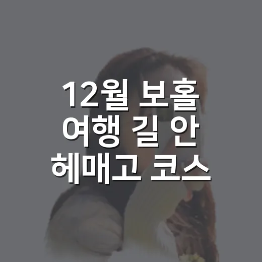 12월 보홀 여행 길 안 헤매고 코스 짜는 방법 - 요약