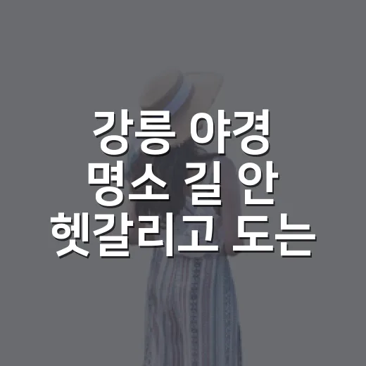 강릉 야경 명소 길 안 헷갈리고 도는 방법 - 요약