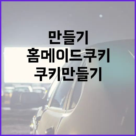 만약에 우리 쿠키가 있다면? 홈메이드 쿠키 만들기! - 요약