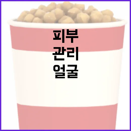 얼굴 피부를 관리하는 방법 - 요약