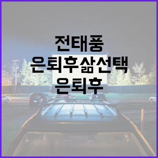 전태풍의 은퇴 후 삶 선택: 새로운 시작을 위한 방법 - 요약