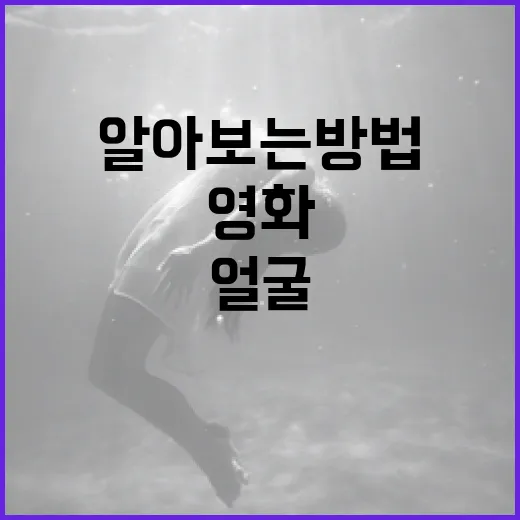 영화 속 얼굴 정보를 알아보는 방법 - 요약