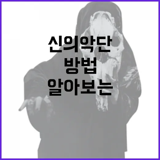 신의악단에 대해 알아보는 방법 - 요약